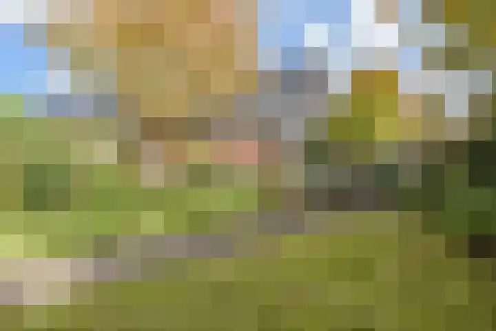 Rijnstroom 16 Zoetermeer thumbnail 54