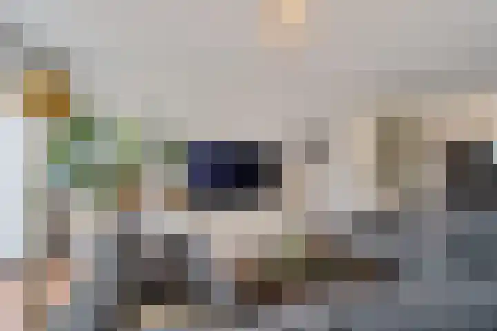 Rijnstroom 30 Zoetermeer thumbnail 17