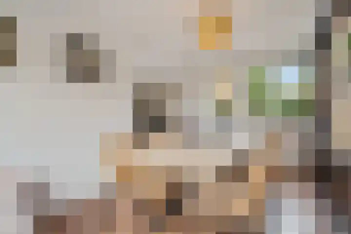 Rijnstroom 30 Zoetermeer thumbnail 21