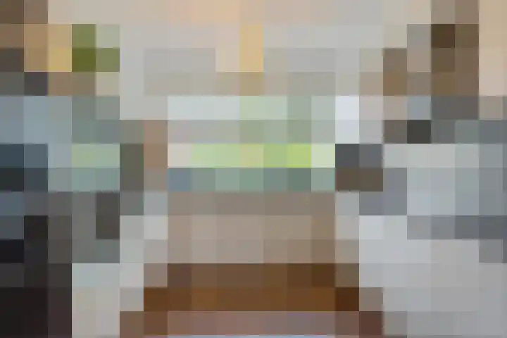 Rijnstroom 30 Zoetermeer thumbnail 24