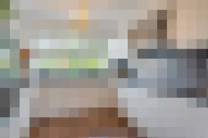 Rijnstroom 30 Zoetermeer thumbnail 25