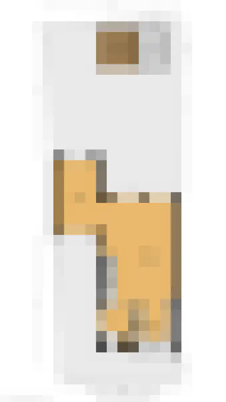 Rijnstroom 30 Zoetermeer thumbnail 36