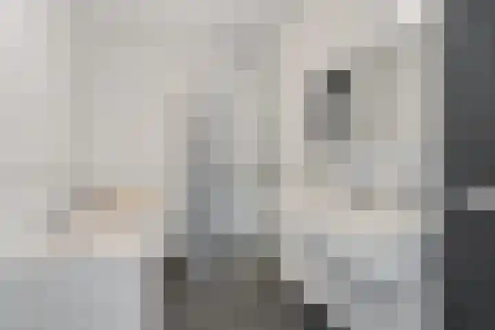 Rijnstroom 30 Zoetermeer thumbnail 43