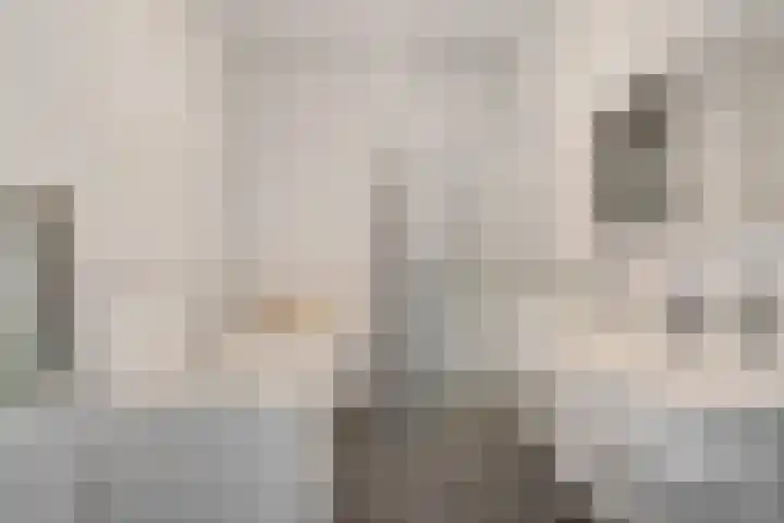 Rijnstroom 30 Zoetermeer thumbnail 44