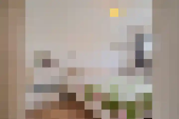 Rijnstroom 30 Zoetermeer thumbnail 46