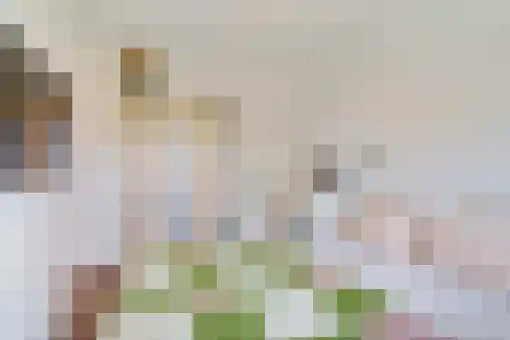 Rijnstroom 30 Zoetermeer thumbnail 48