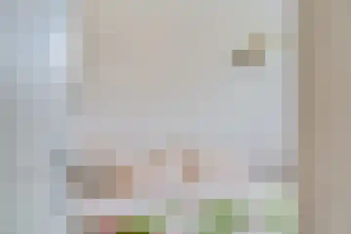 Rijnstroom 30 Zoetermeer thumbnail 49