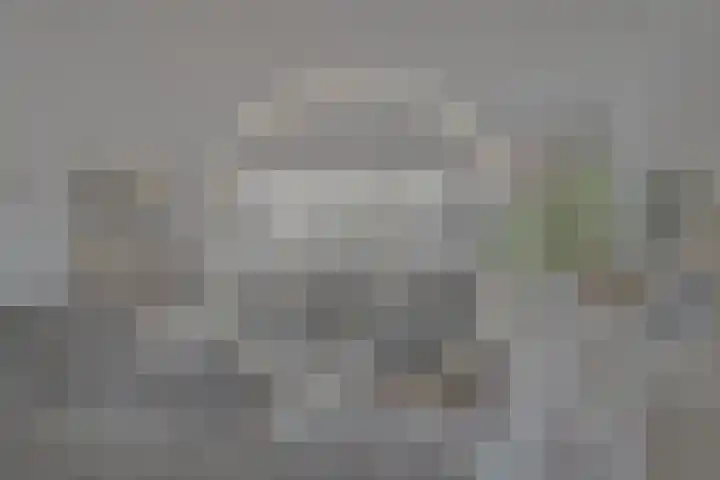 Rijnstroom 30 Zoetermeer thumbnail 5