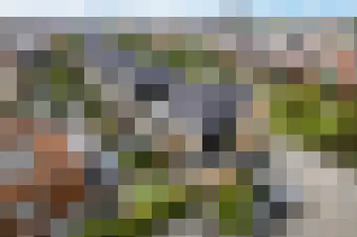 Rijnstroom 30 Zoetermeer thumbnail 65