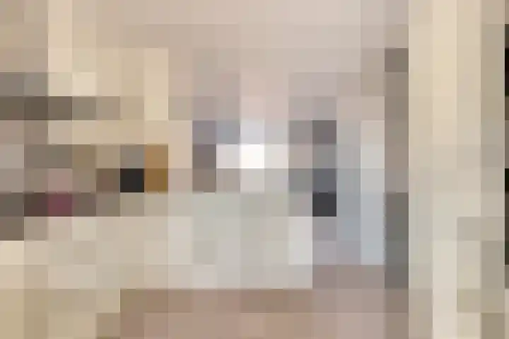 Rijnstroomlaan 10 Valkenburg thumbnail 30