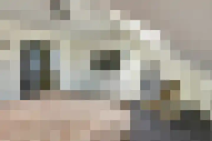 Rijnstroomlaan 10 Valkenburg thumbnail 34