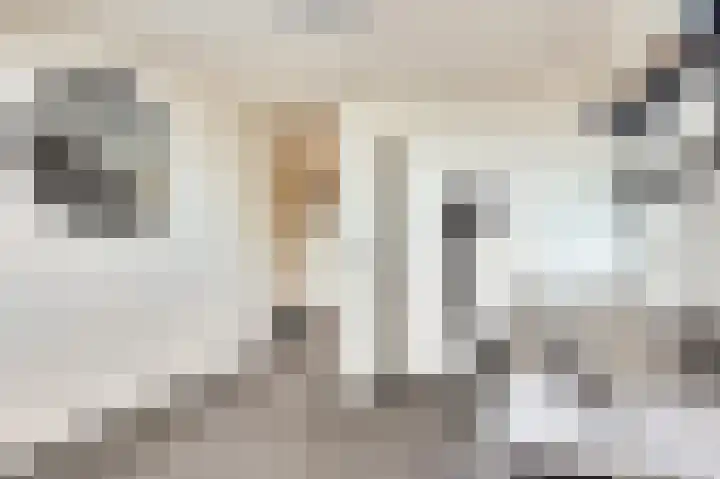 Rijnstroomlaan 10 Valkenburg thumbnail 43
