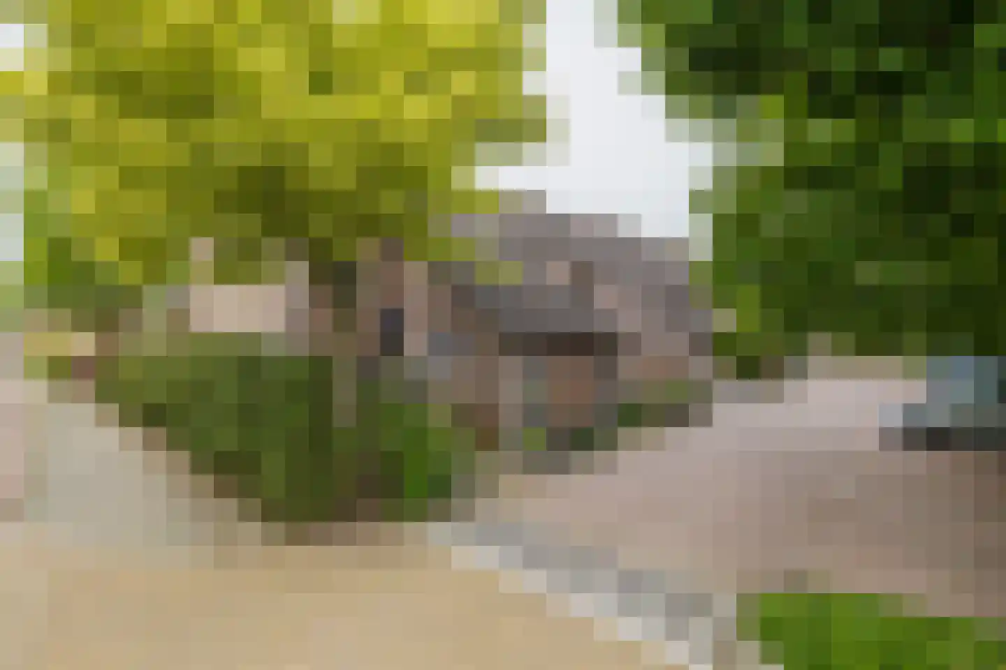 Rijnstroomlaan 3 Valkenburg thumbnail 30