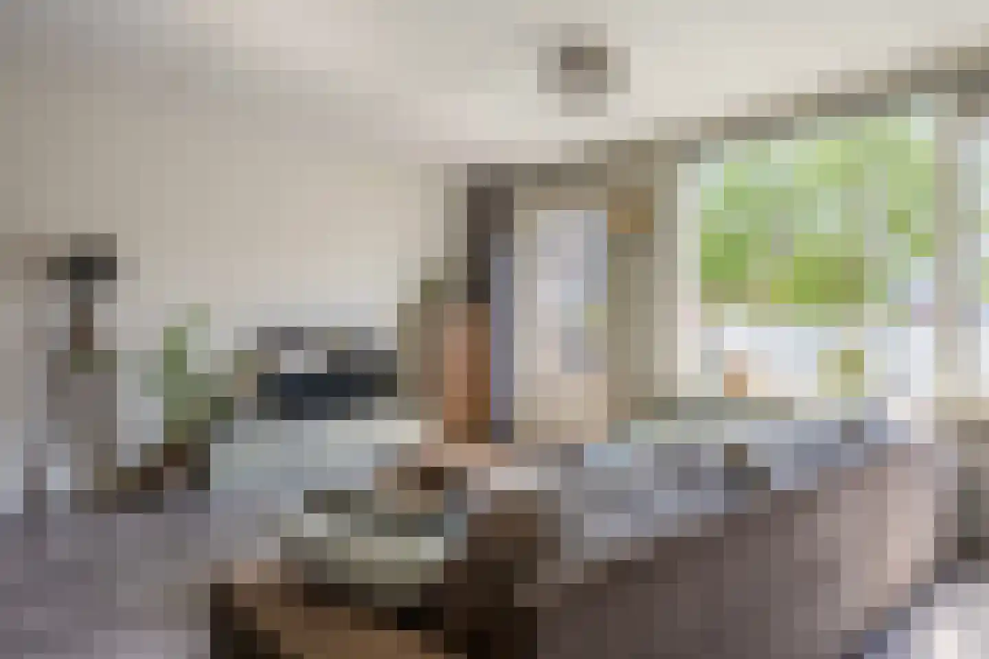 Rijnstroomlaan 7 Valkenburg thumbnail 14