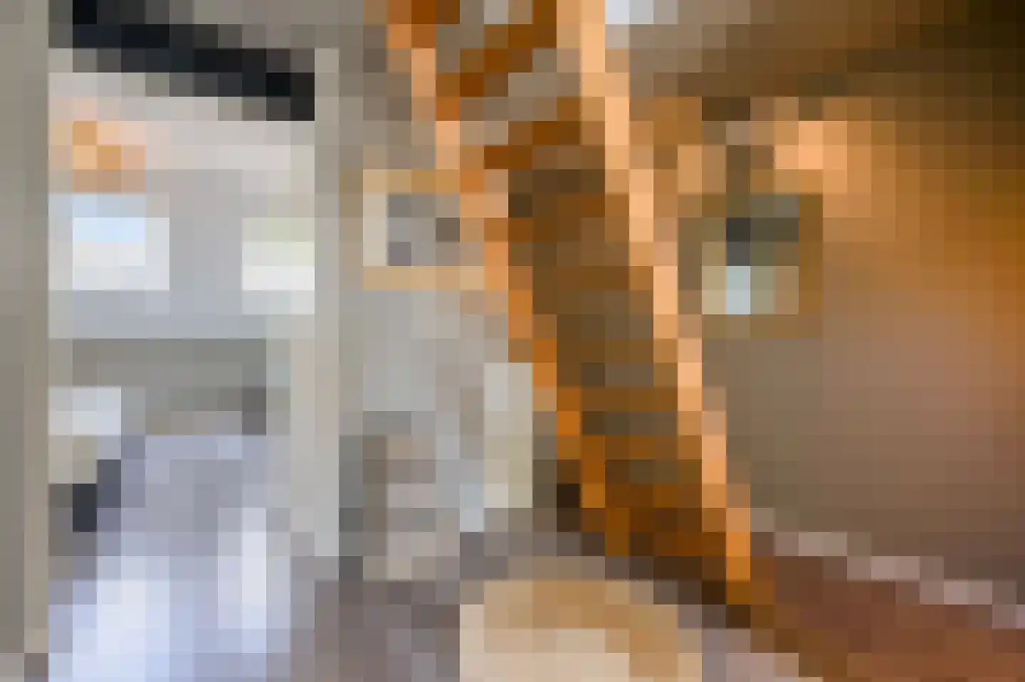 Rijnstroomlaan 7 Valkenburg thumbnail 25
