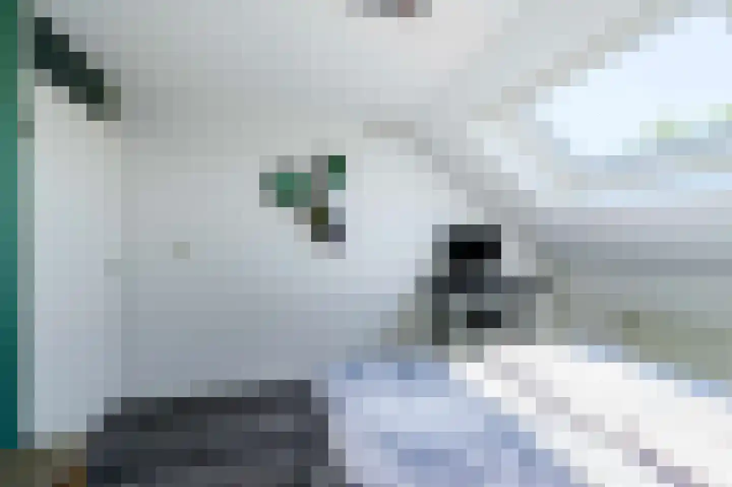 Rijnstroomlaan 7 Valkenburg thumbnail 33