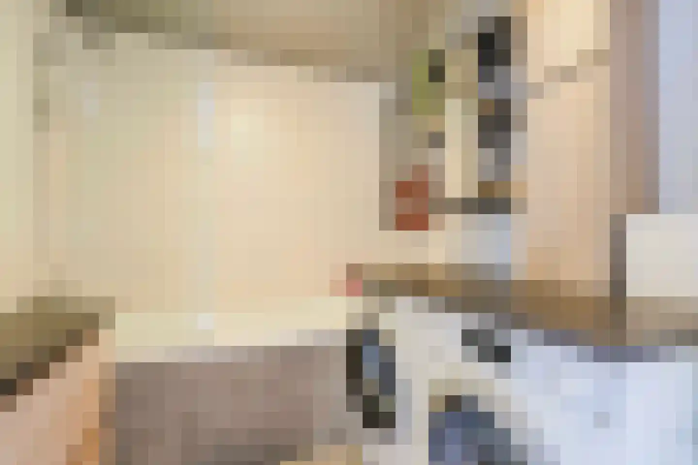 Rijnstroomlaan 7 Valkenburg thumbnail 35
