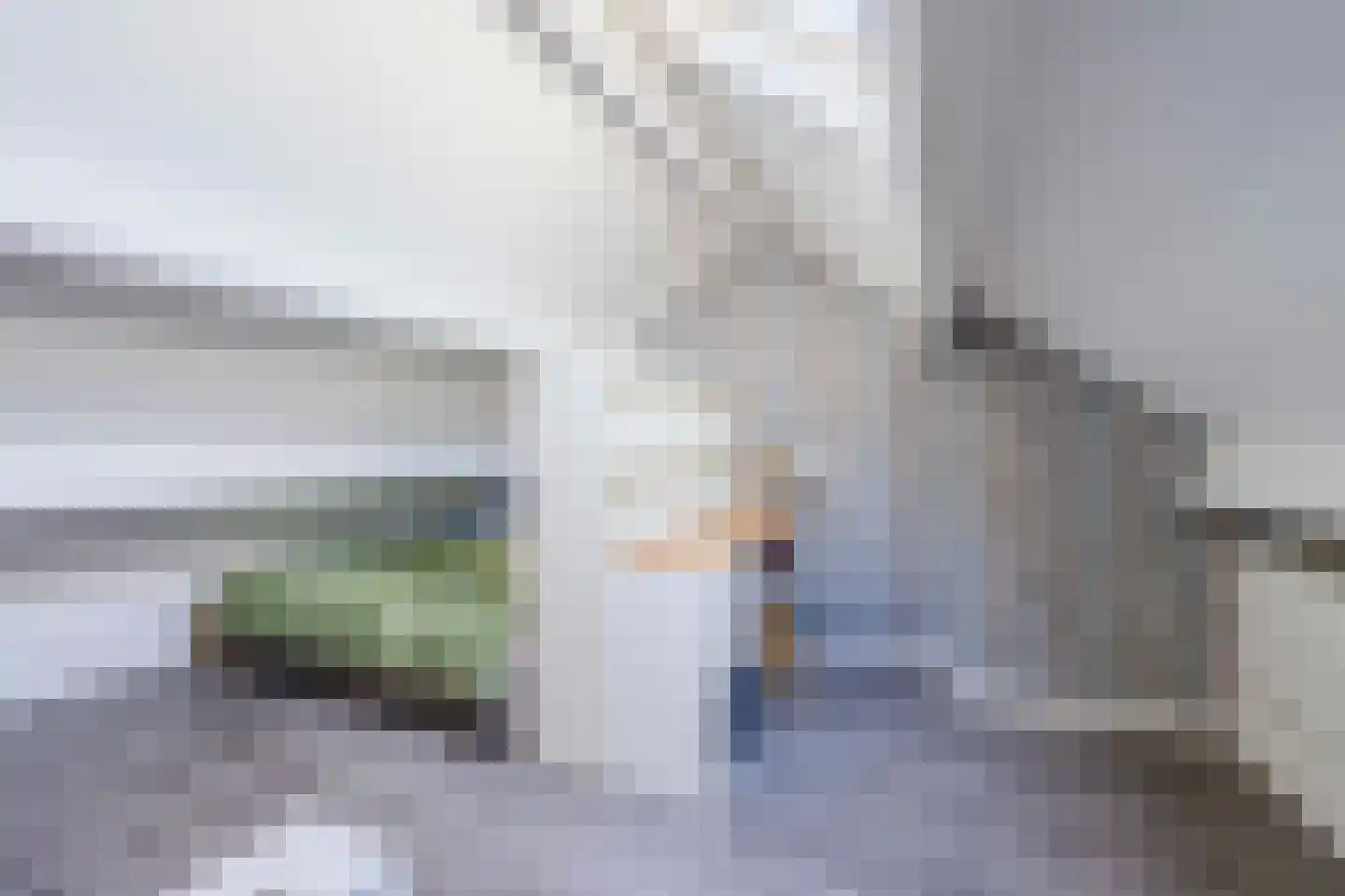 Rijnstroomlaan 7 Valkenburg thumbnail 38