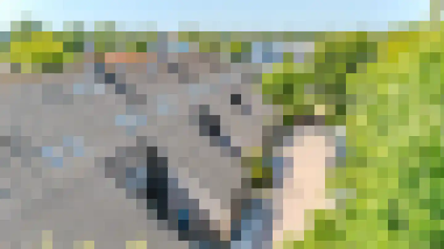 Rijnstroomlaan 7 Valkenburg thumbnail 40