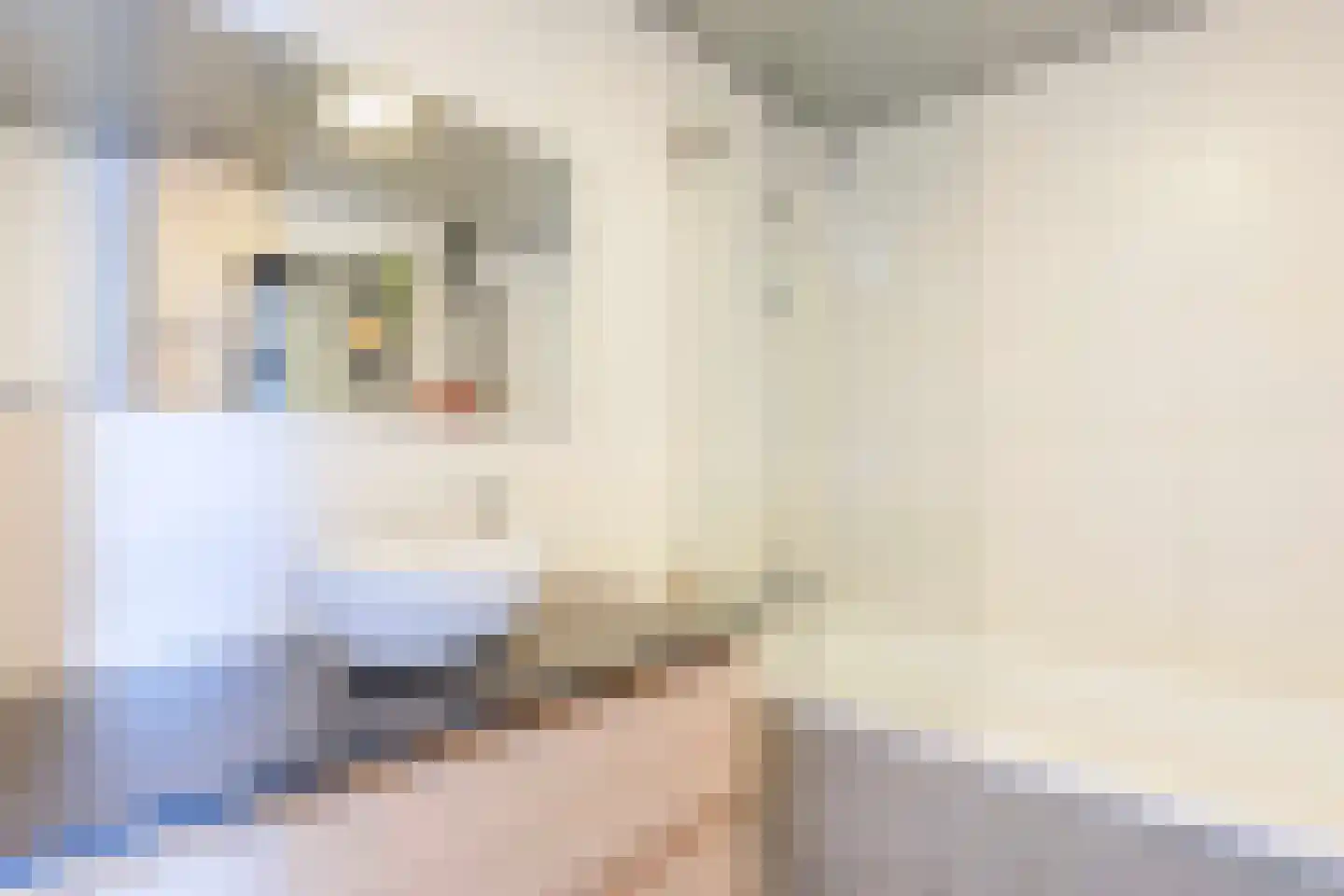 Rijnstroomlaan 7 Valkenburg thumbnail 5