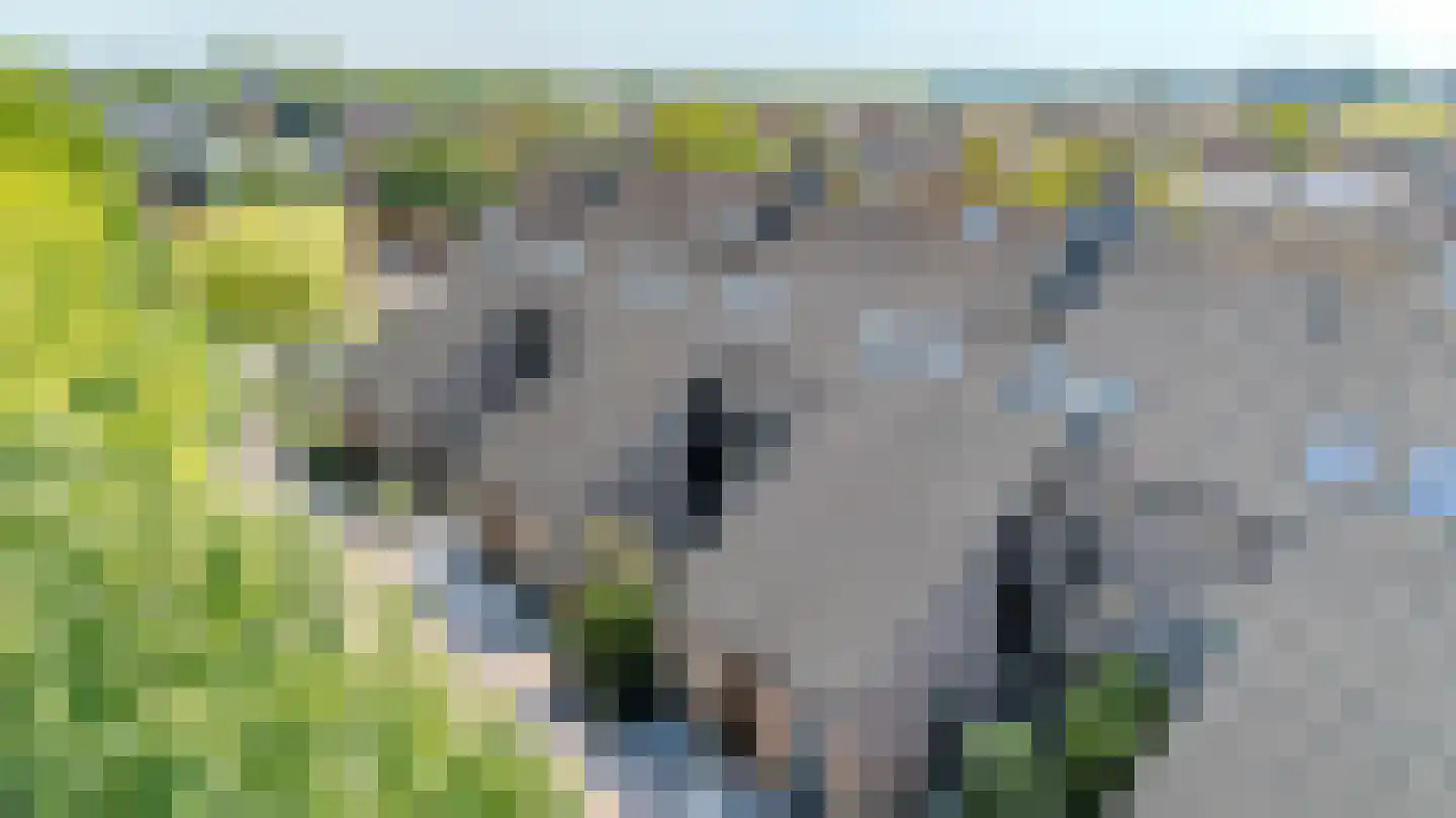 Rijnstroomlaan 7 Valkenburg thumbnail 7
