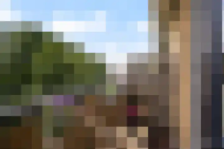 Rijnvaartweg 11 's-Gravenzande thumbnail 17