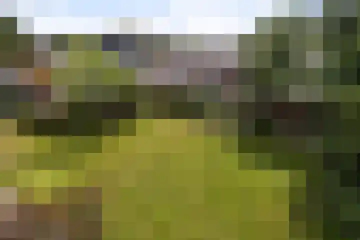 Rijnvaartweg 11 's-Gravenzande thumbnail 19
