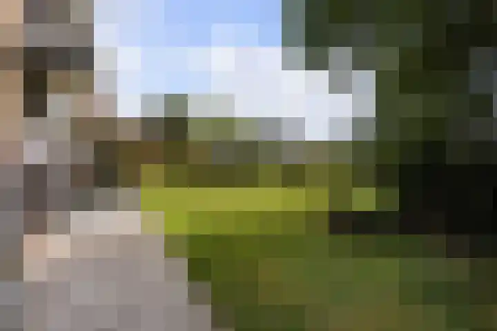Rijnvaartweg 11 's-Gravenzande thumbnail 32