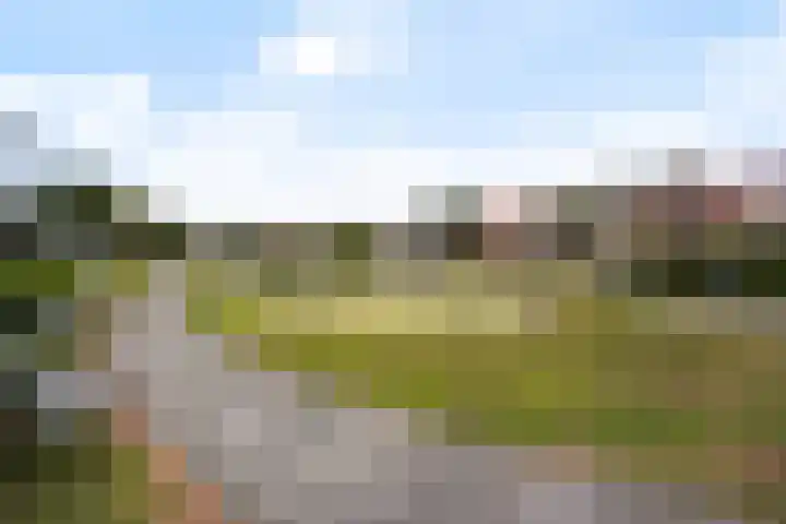 Rijnvaartweg 11 's-Gravenzande thumbnail 33