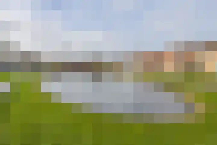Rijnvaartweg 14 's-Gravenzande thumbnail 38