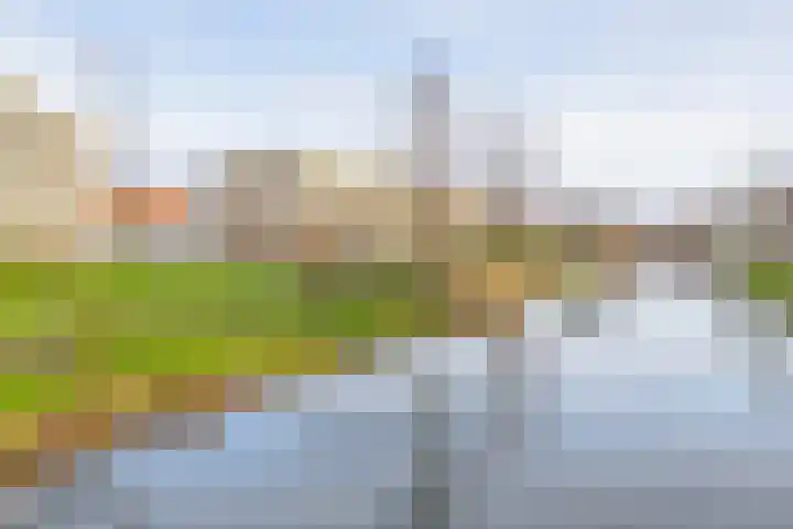 Rijnvaartweg 14 's-Gravenzande thumbnail 39