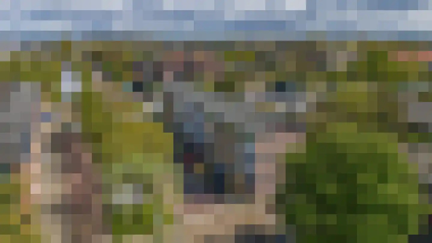 Rijnvaartweg 19 's-Gravenzande thumbnail 25