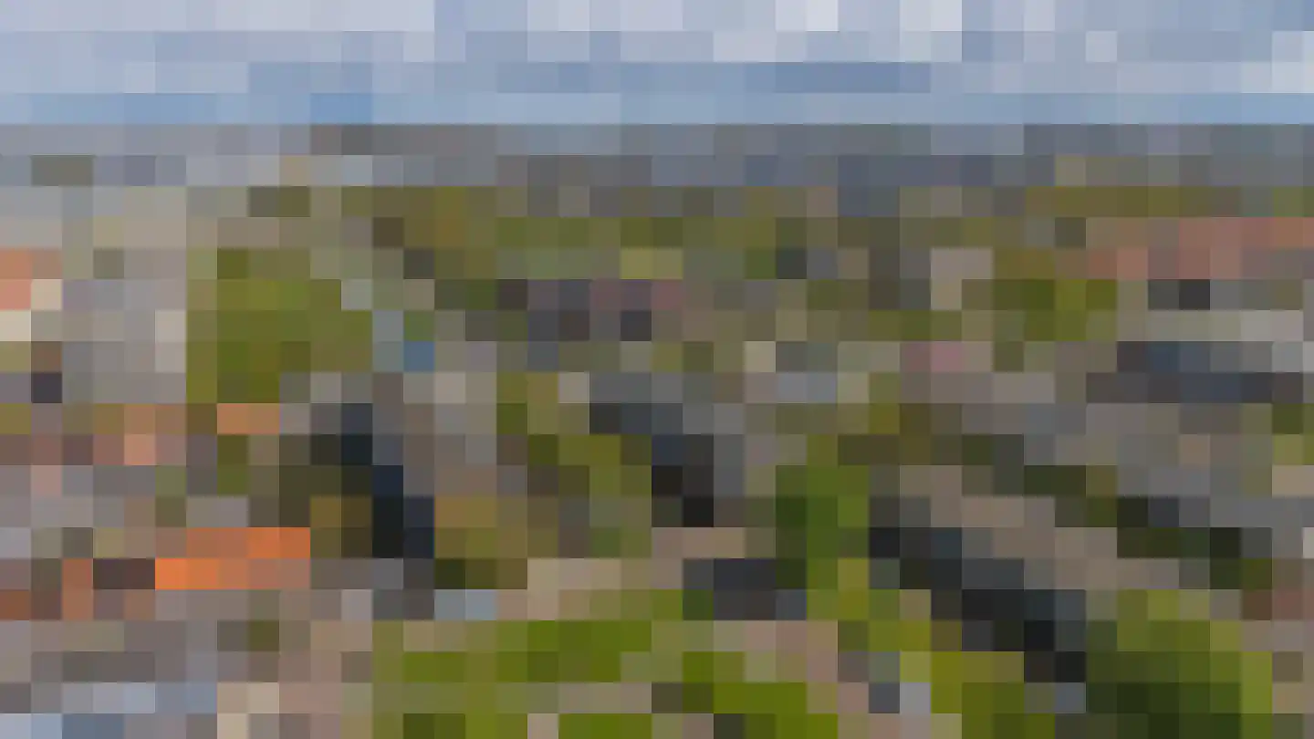 Rijnvaartweg 19 's-Gravenzande thumbnail 27