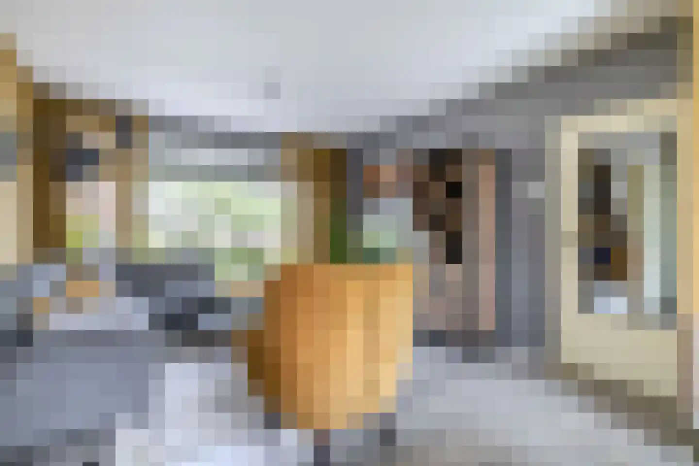 Rijnvaartweg 19 's-Gravenzande thumbnail 9