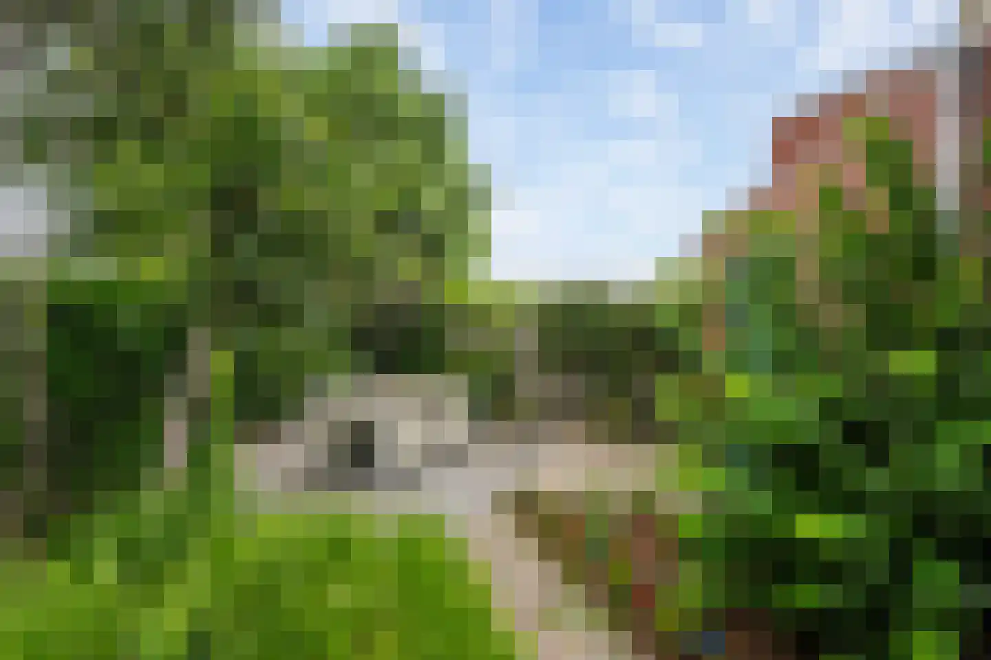 Rijnvaartweg 45 's-Gravenzande thumbnail 21