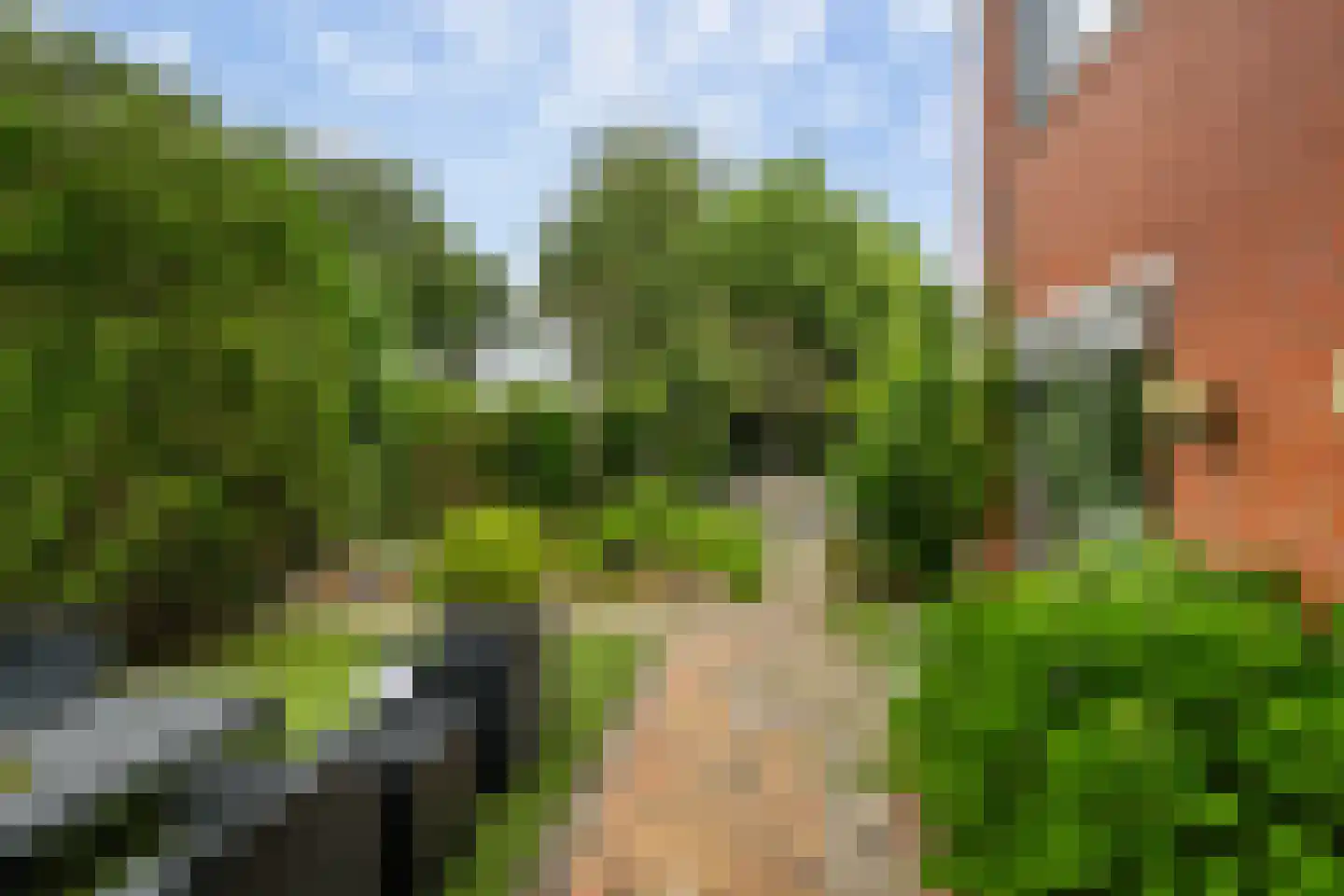 Rijnvaartweg 45 's-Gravenzande thumbnail 4