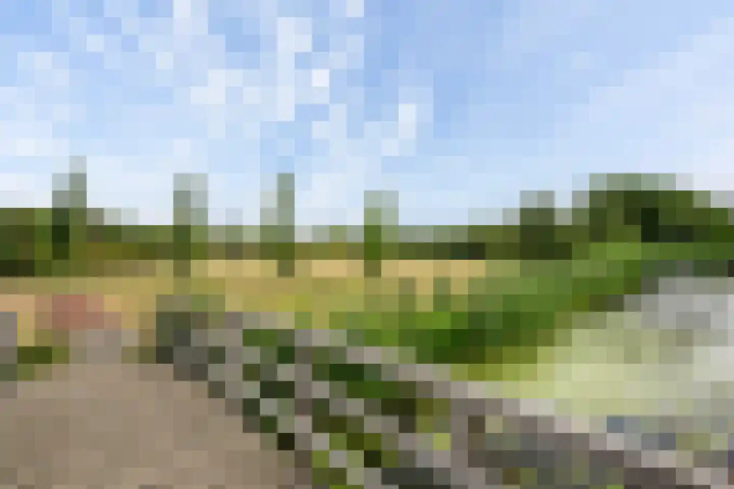 Rijnvaartweg 45 's-Gravenzande thumbnail 42