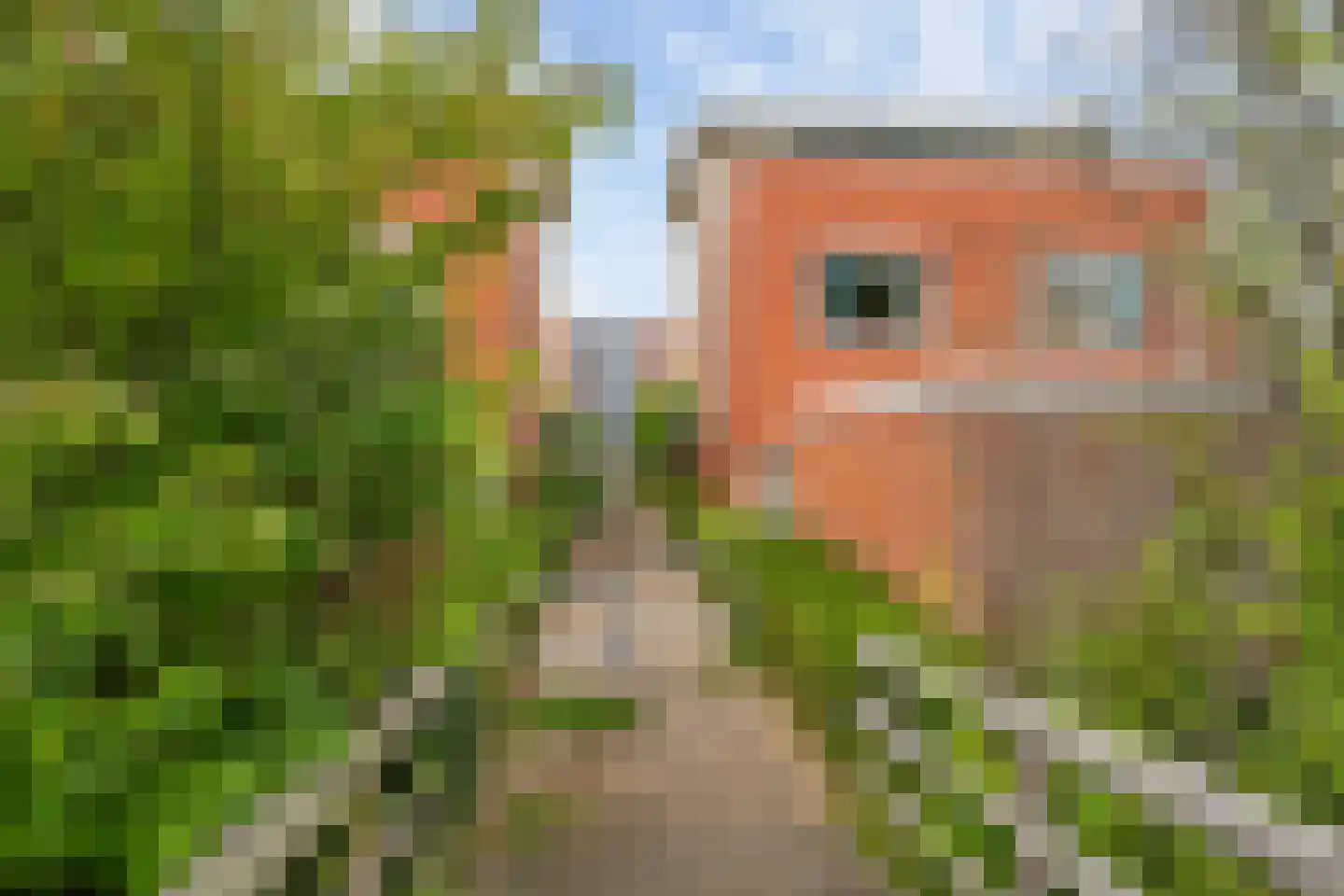 Rijnvaartweg 45 's-Gravenzande thumbnail 43