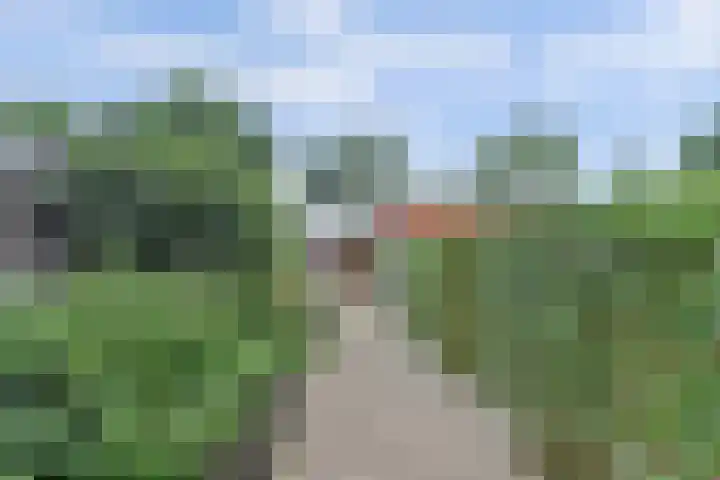 Rijnvaartweg 47 's-Gravenzande thumbnail 29