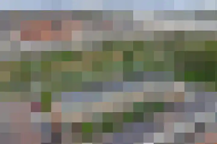 Rijnvaartweg 47 's-Gravenzande thumbnail 32
