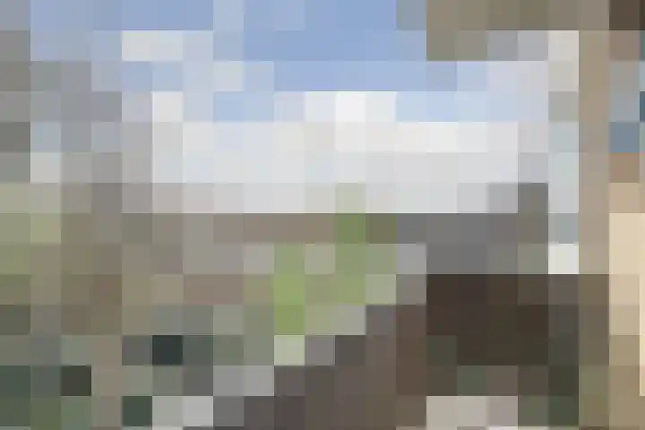 Rijnvaartweg 5 's-Gravenzande thumbnail 13