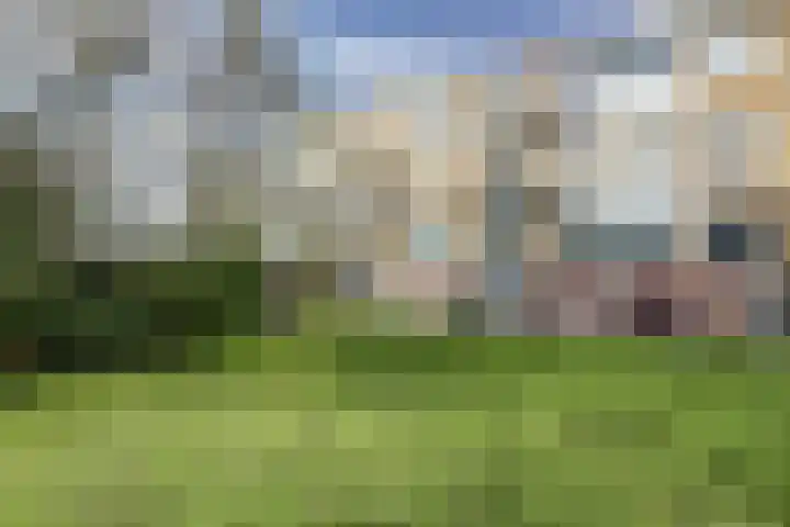 Rijnvaartweg 5 's-Gravenzande thumbnail 19