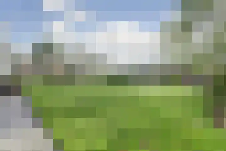 Rijnvaartweg 5 's-Gravenzande thumbnail 20