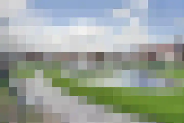 Rijnvaartweg 5 's-Gravenzande thumbnail 22