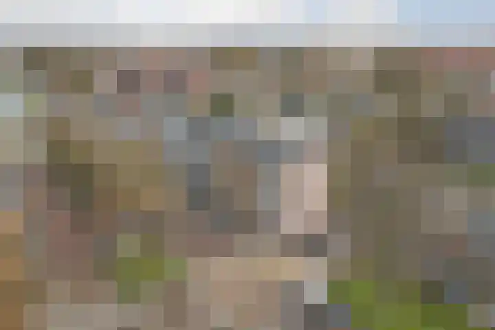 Rijnvaartweg 5 's-Gravenzande thumbnail 23