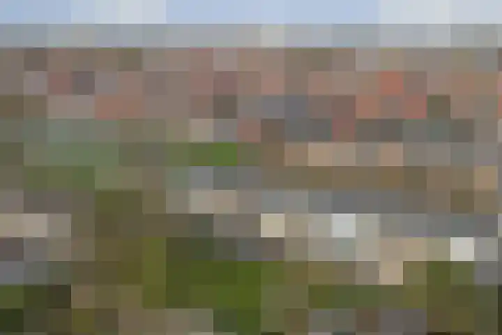 Rijnvaartweg 5 's-Gravenzande thumbnail 24