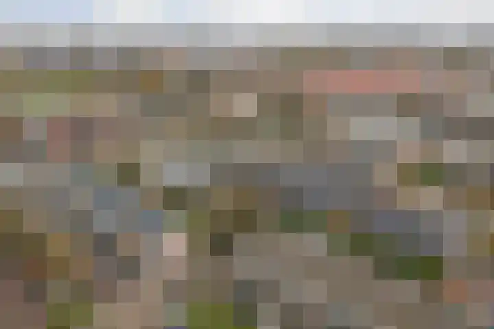 Rijnvaartweg 5 's-Gravenzande thumbnail 25