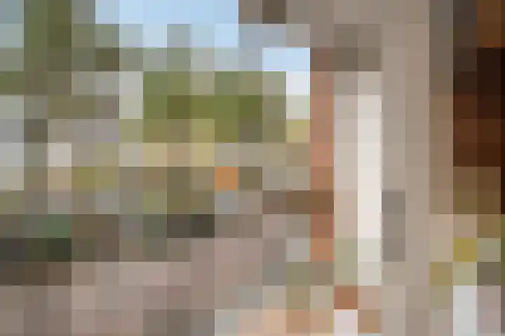 Rijnvaartweg 8 's-Gravenzande thumbnail 12