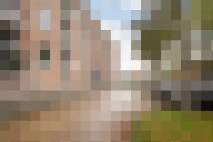 Rijnvaartweg 8 's-Gravenzande thumbnail 30