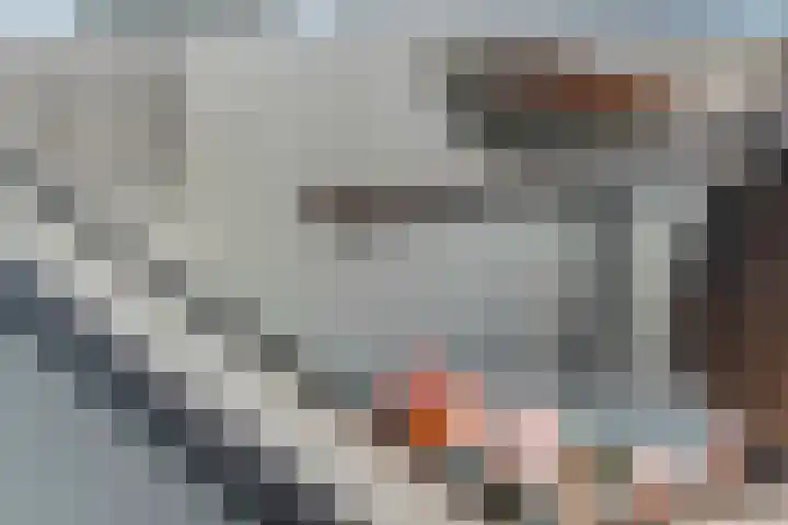Rijnvallei 14 Ede thumbnail 15